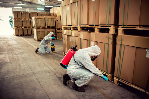 Reliable Cherry Hill, VA Pest Control Solutions